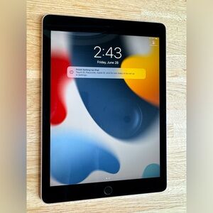 Apple iPad Pro 1st Gen. 256GB, 9.7in